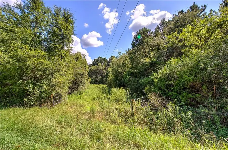 000 Crowe Springs Spur, Adairsville, GA 30103 - #2