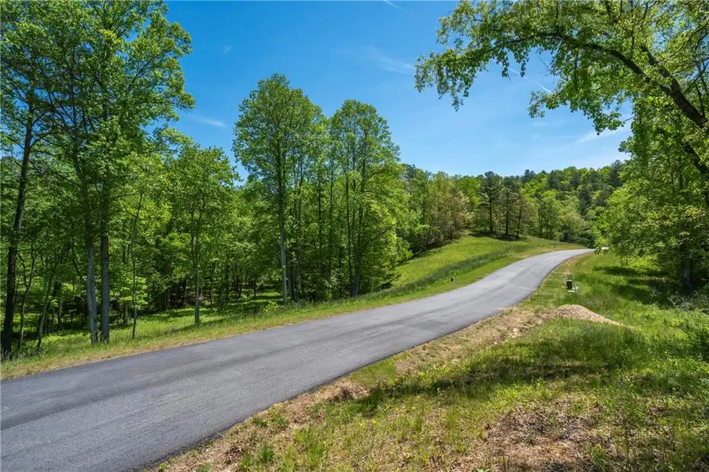 LT5-5a Waterstone Way, Mineral Bluff, GA 30559 - #1