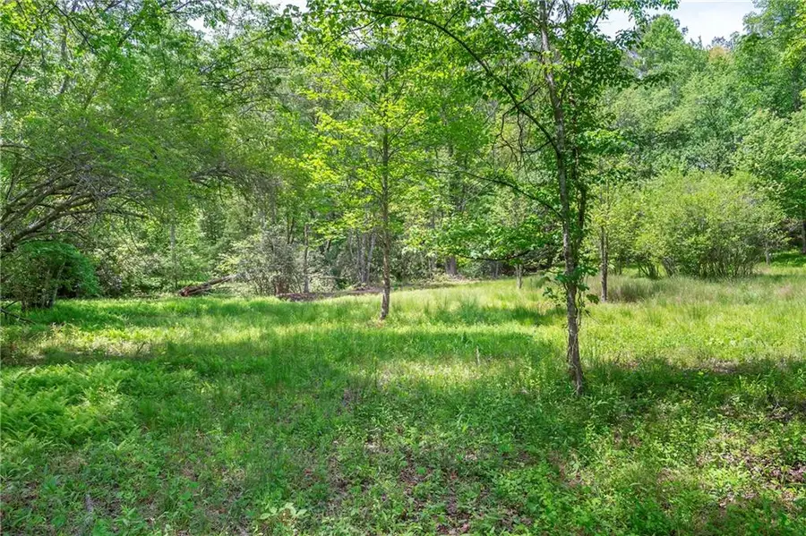 LT5-5a Waterstone Way, Mineral Bluff, GA 30559 - #3