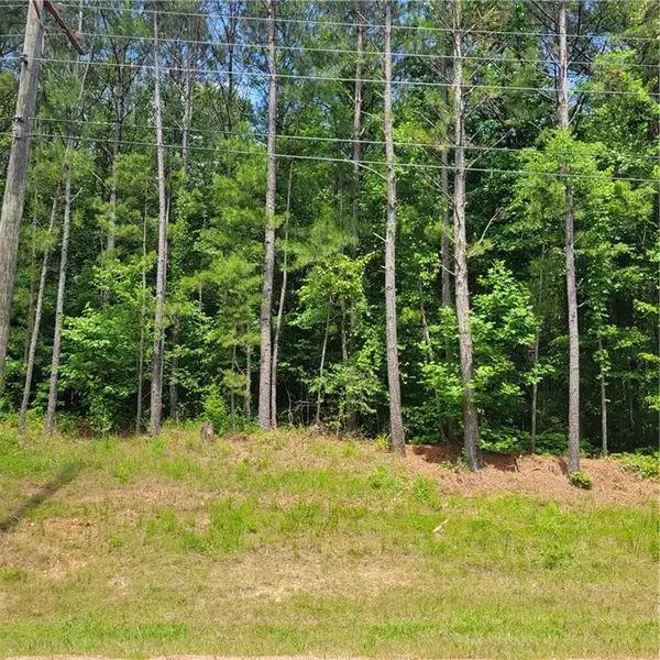 00 Bohannon Road, Grantville, GA 30220