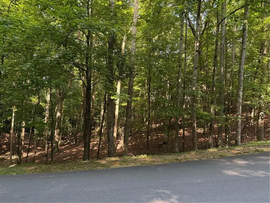 20 Hillside Drive, Waleska, GA 30183 - #2