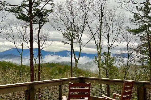 254 Leatherwood Mountain Road, Ellijay, GA 30540 - #3