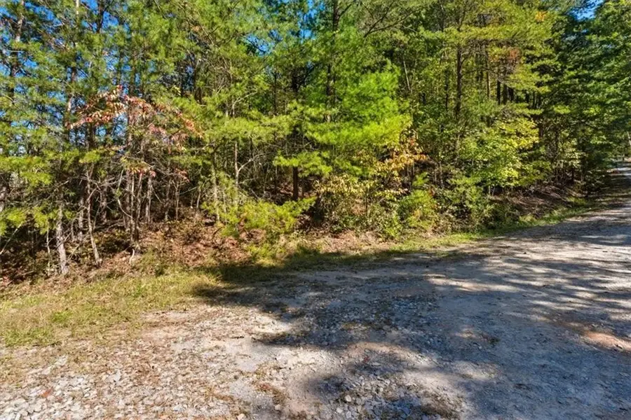 1666 Hunter Drive, Ranger, GA 30734 - #3