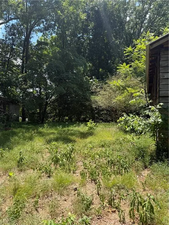 217 Bagwell Garland Road, Canton, GA 30115 - #3