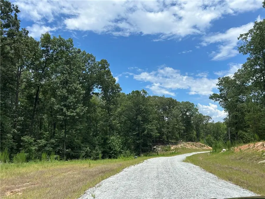 0 Hamilton Road, Chattahoochee Hills, GA 30268 - #2