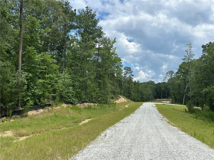 0 Hamilton Road, Chattahoochee Hills, GA 30268 - #3
