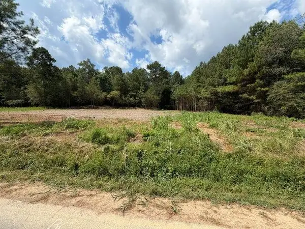 84 Popham Road Tract 2 & 3, Taylorsville, GA 30178