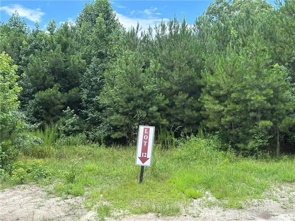 0 Hamilton Road, Chattahoochee Hills, GA 30268 - #1