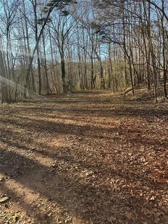 0 Collier Street Sw, Covington, GA 30014 - #3