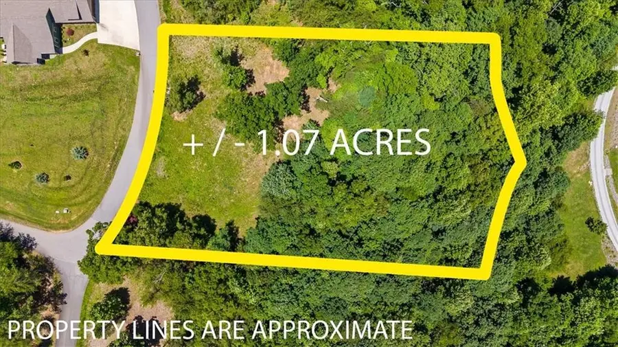 Lot 32 2434 Standing Meadow Drive, Young Harris, GA 30582 - #3
