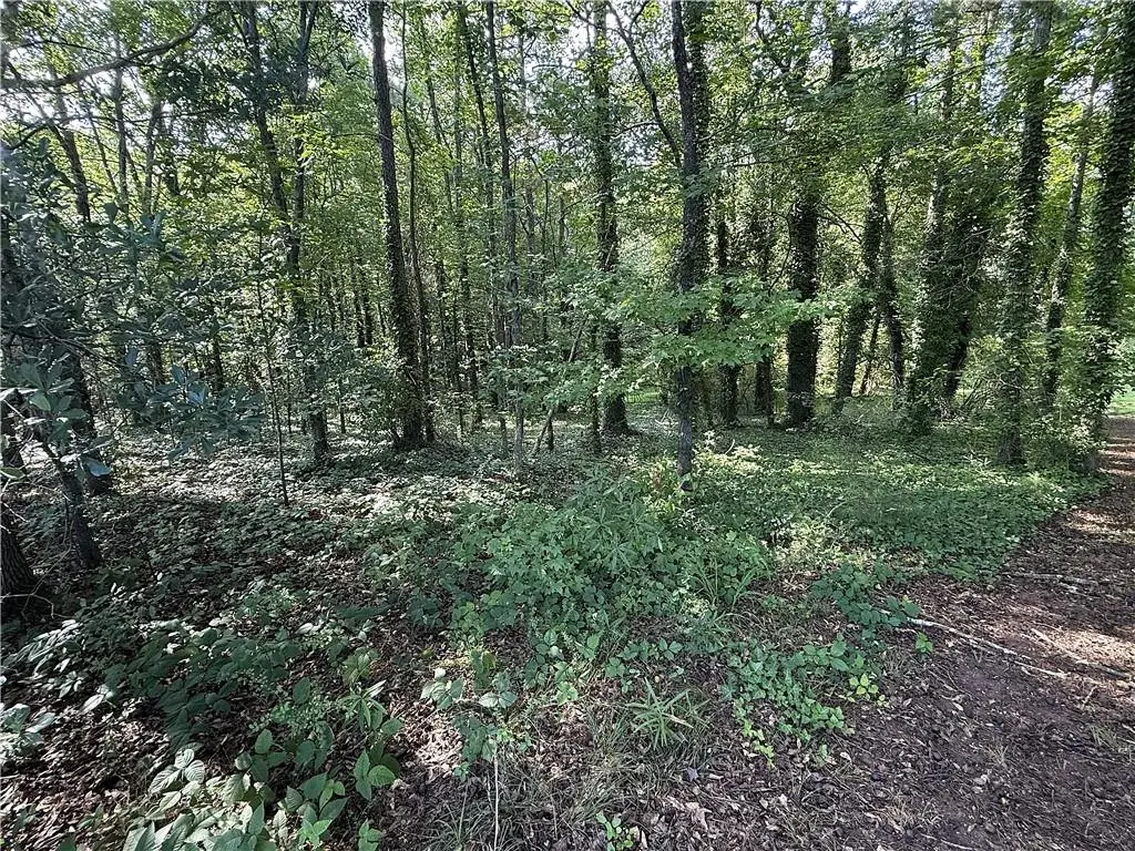 0 Boxer Lane, Cumming, GA 30028 - #1