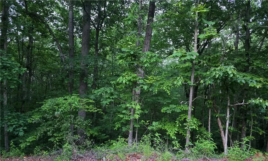 0 Old Mckaskey Creek Road Se, Cartersville, GA 30121 - #1