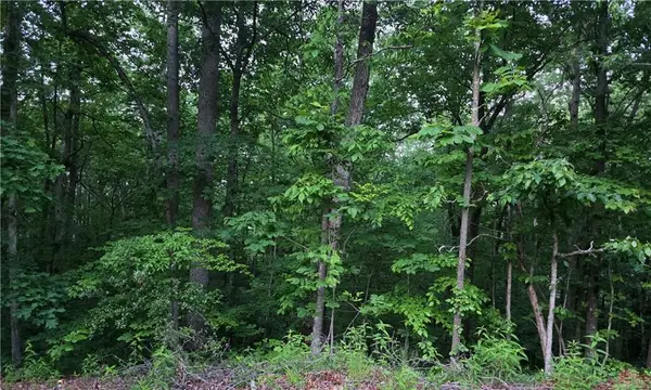 0 Old Mckaskey Creek Road Se, Cartersville, GA 30121