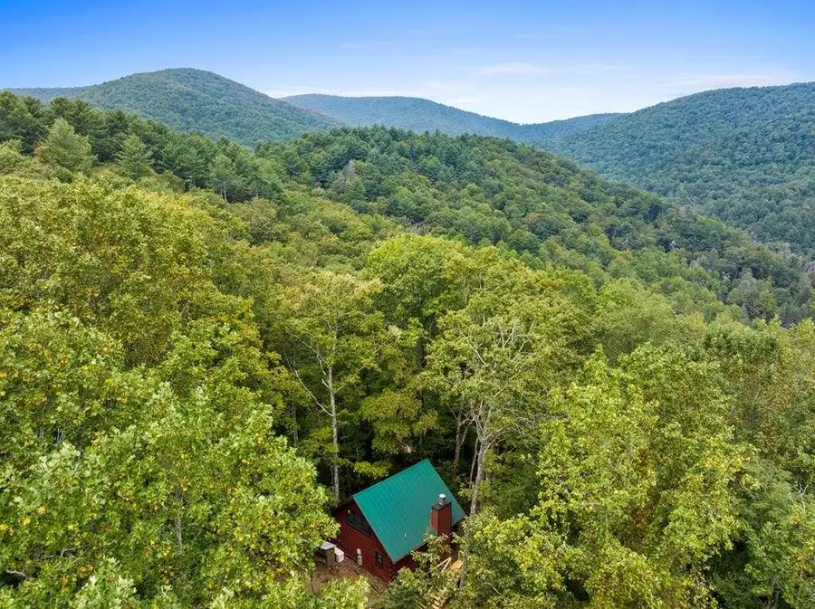 390 Butler Creek Road, Cherry Log, GA 30522 - #2