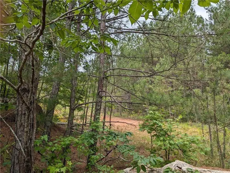 7900 Downs Road, Winston, GA 30187 - #2