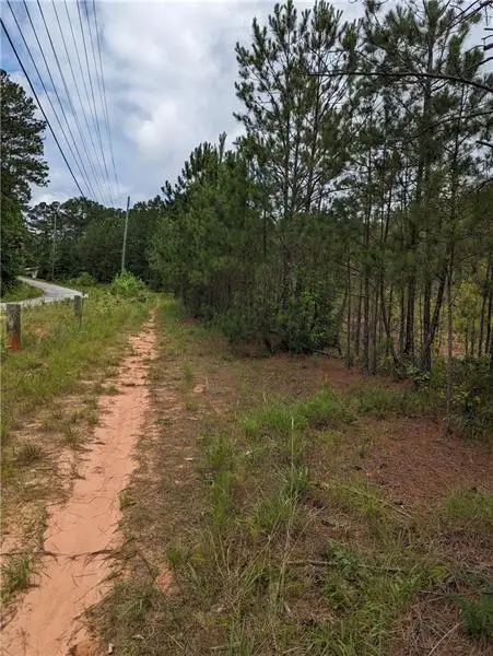 7900 Downs Road, Winston, GA 30187 - #3