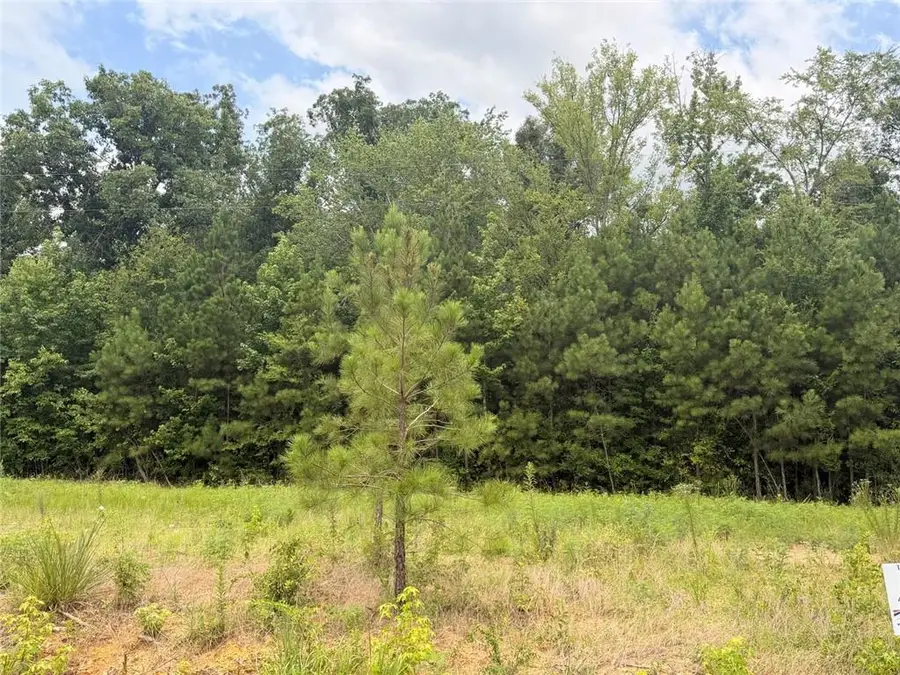 Lot 58 County Road 32, Piedmont, AL 36272 - #2