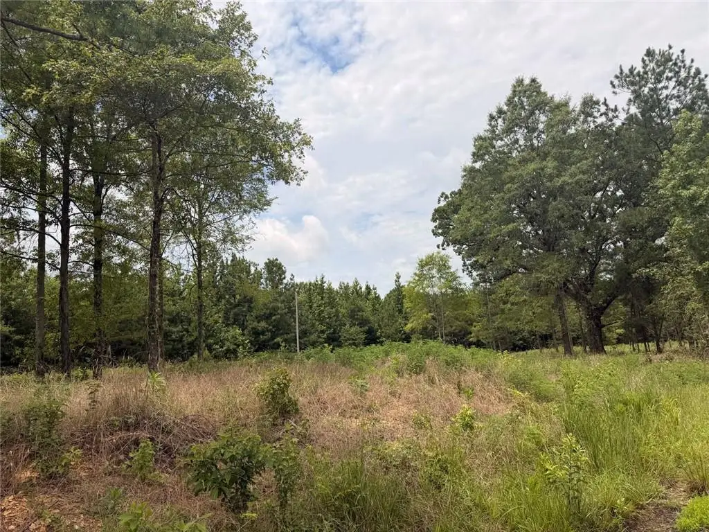 Lot 60 County Road 32, Piedmont, AL 36272 - #1