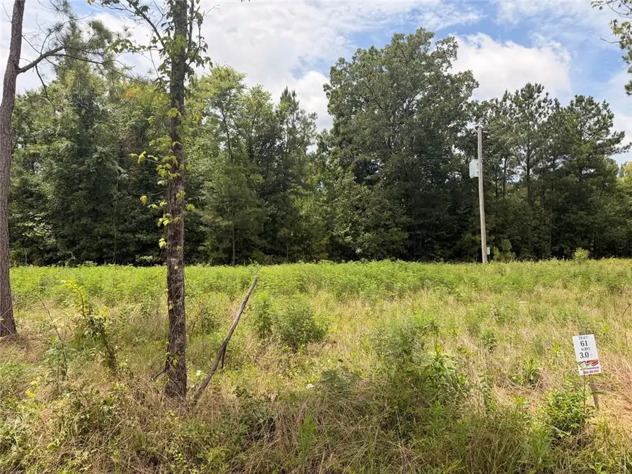 Lot 60 County Road 32, Piedmont, AL 36272 - #2