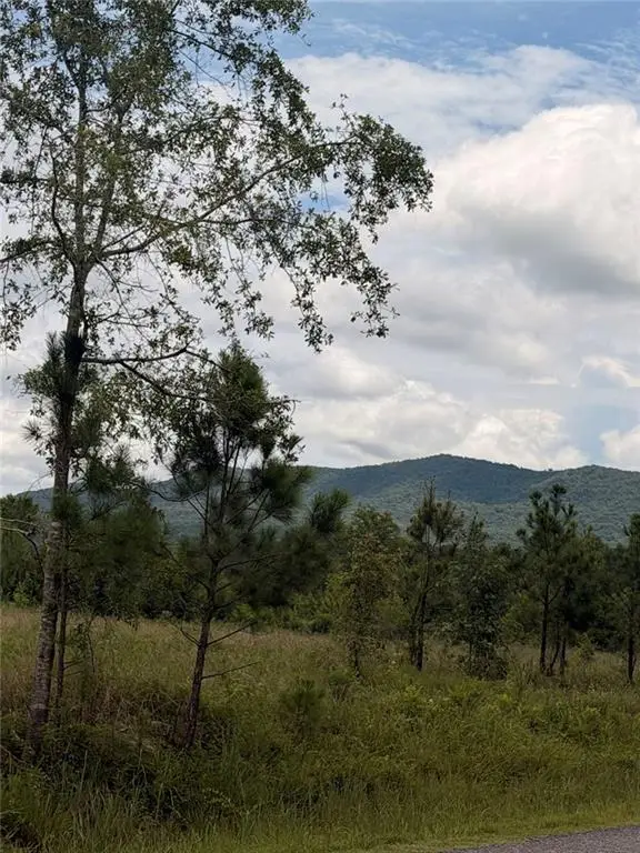 Lot 61 County Road 32, Piedmont, AL 36272 - #2