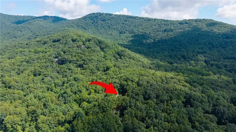 51 Trout Lily Trail, Big Canoe, GA 30143 - #2