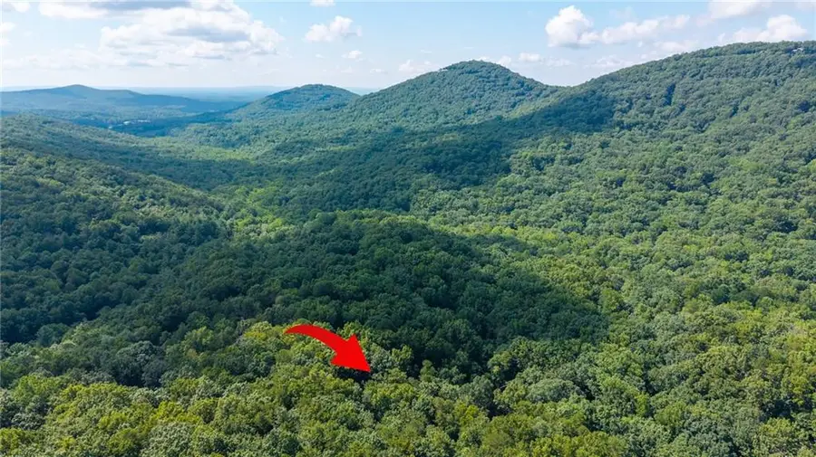 51 Trout Lily Trail, Big Canoe, GA 30143 - #3