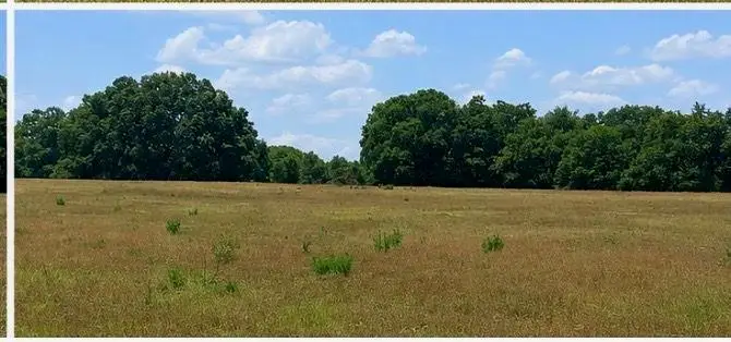 Lot 32 Livingston Road, Rome, GA 30161 - #1