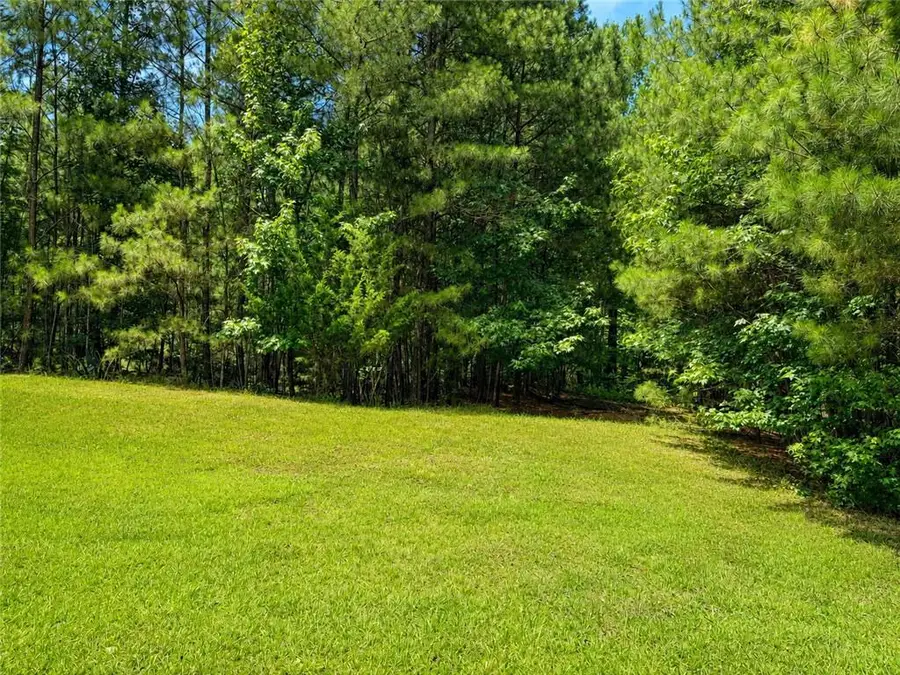 30 Cornish Trace Drive, Covington, GA 30014 - #3