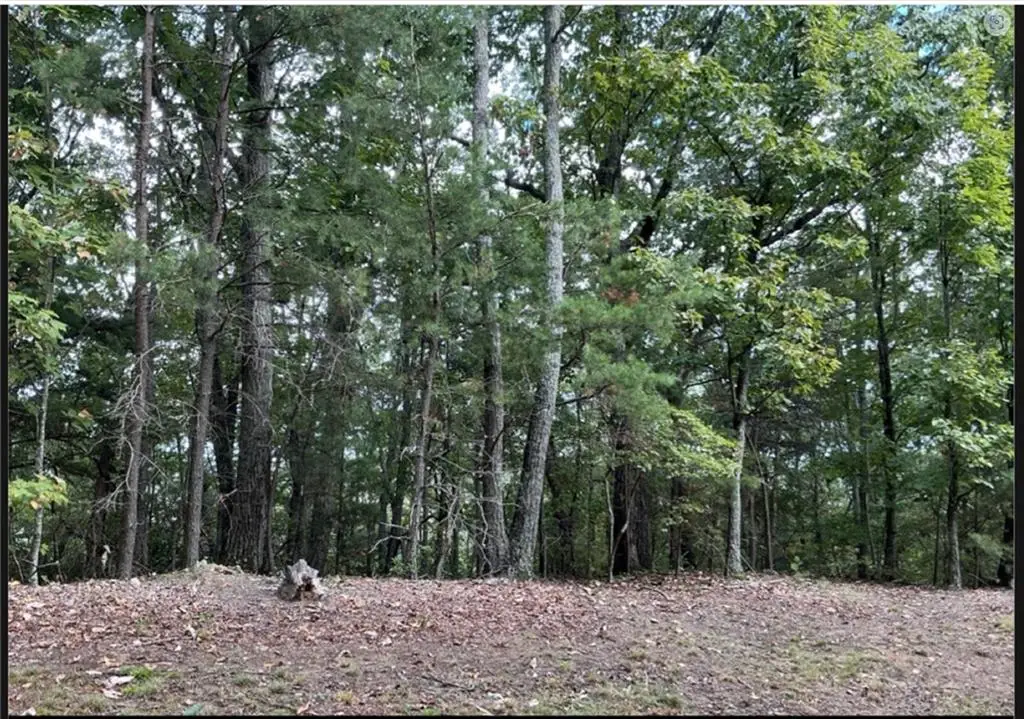 - W Farmview Road, South Gilmer, GA 30175 - #1