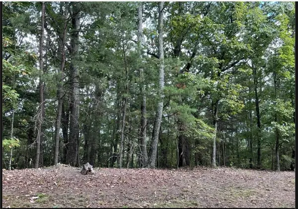 - W Farmview Road, Ellijay, GA 30175