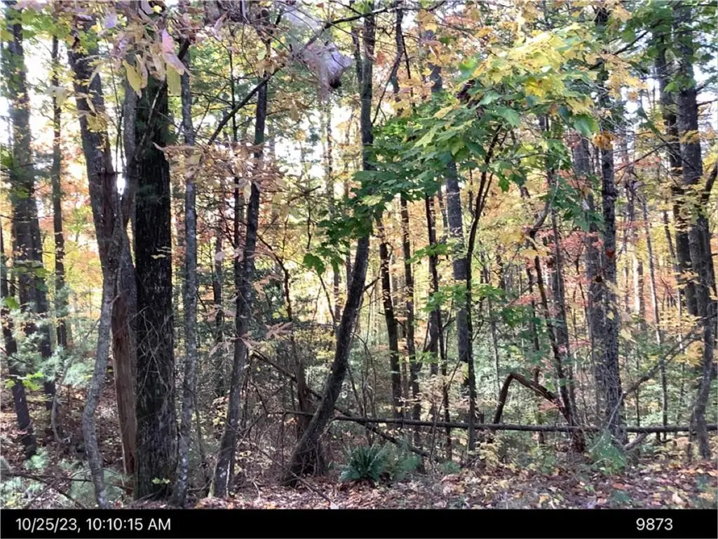 - Andros Court, Ellijay, GA 30540 - #1