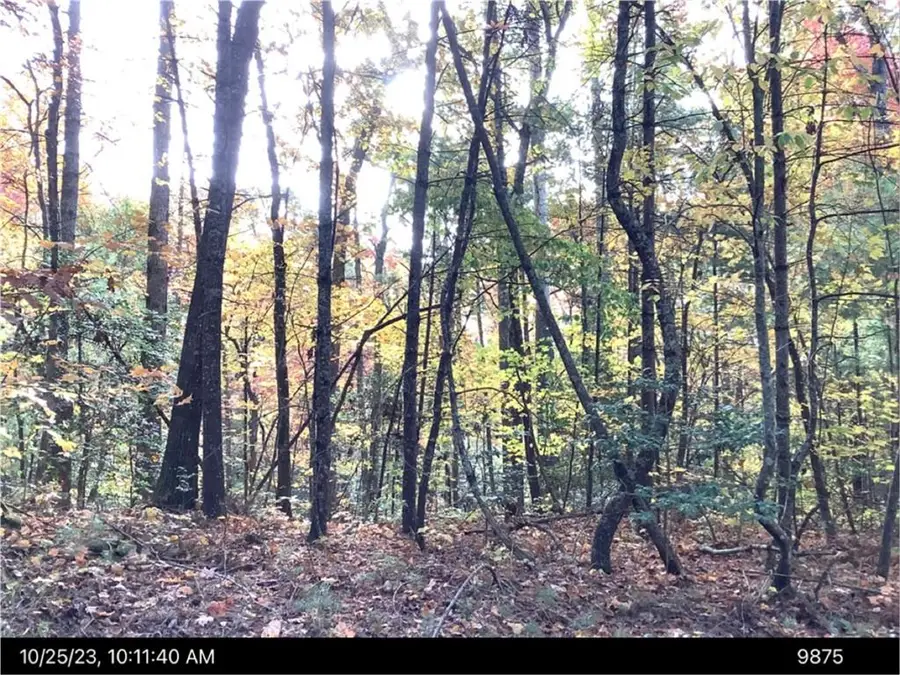 - Andros Court, Ellijay, GA 30540 - #3