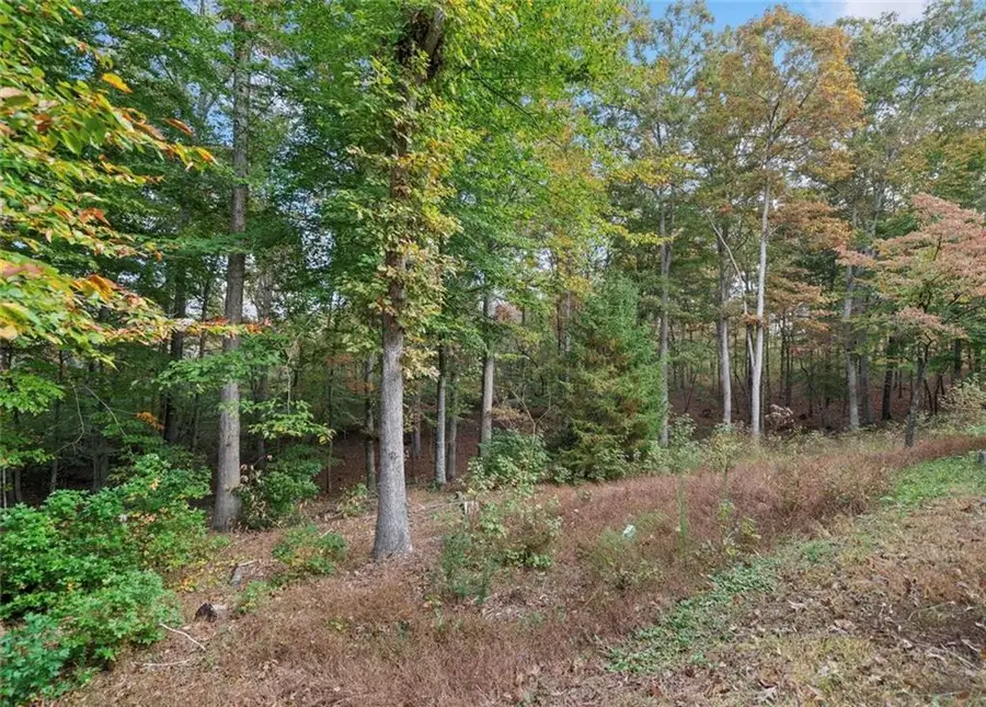 000 Ammons Drive, Waleska, GA 30183 - #3