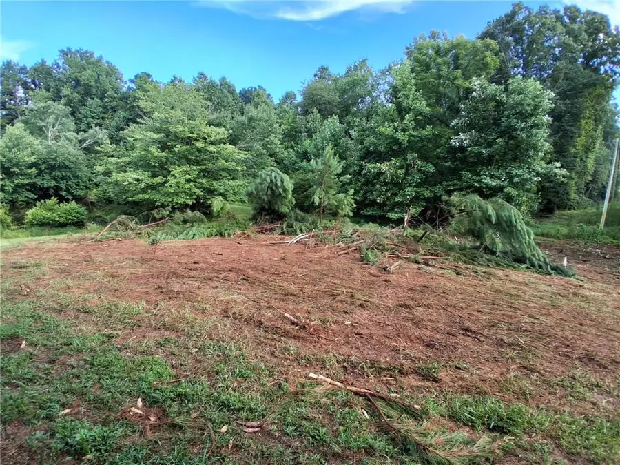 0 Blackberry Mountain Road, Ellijay, GA 30536 - #3