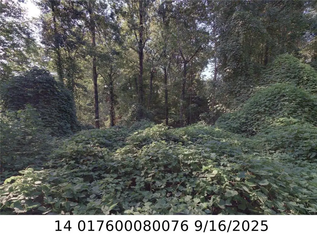 00 Newman Place Nw, Atlanta, GA 30318 - #1