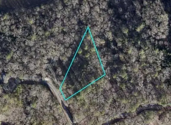 LT941 Myna Drive, Ellijay, GA 30540 - #1