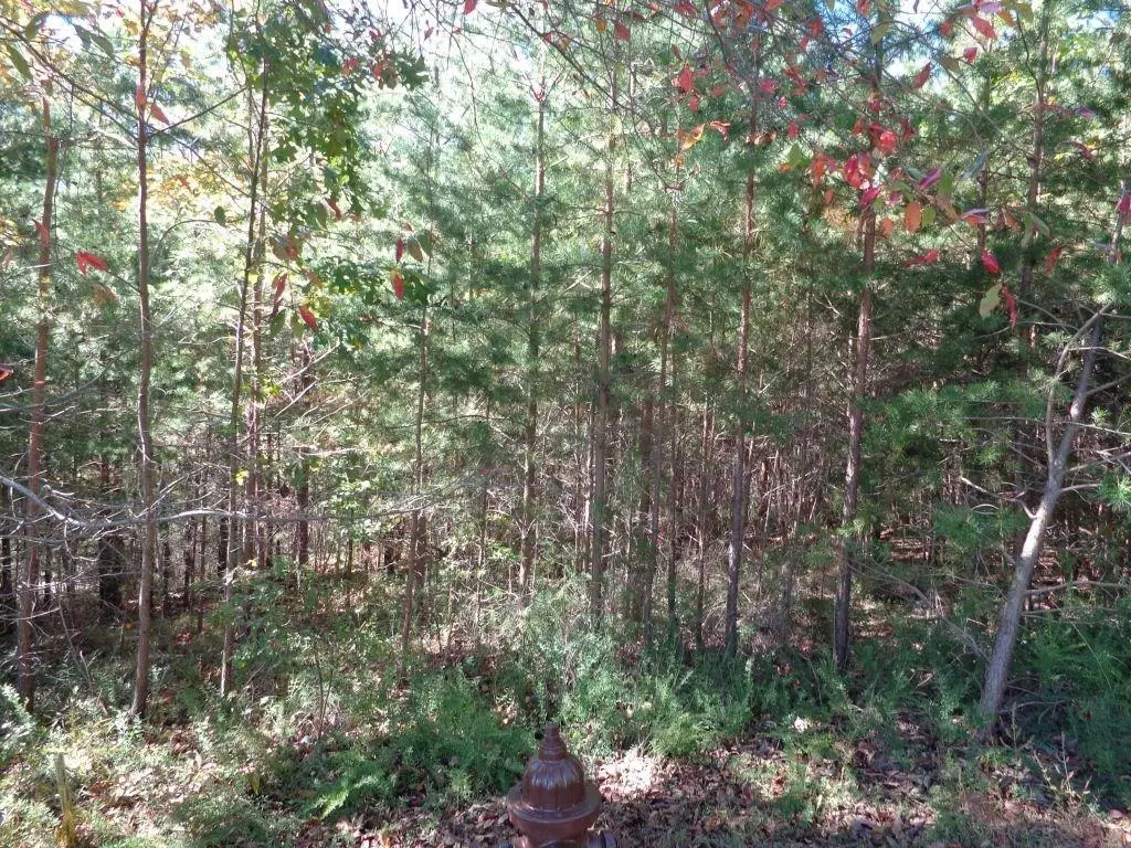 2474 Wedgewood Drive, Big Canoe, GA 30143 - #1