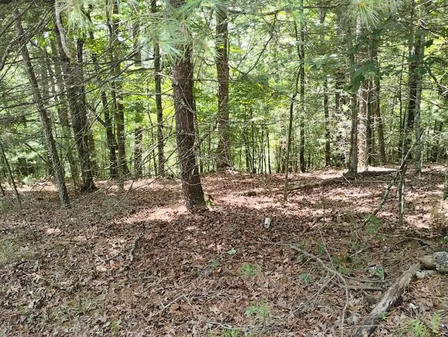 0 Crystal Lane, Ellijay, GA 30540 - #2