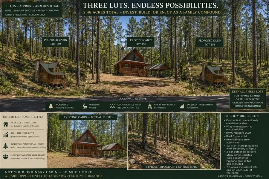 1247 Newport Drive, Ellijay, GA 30540 - #3