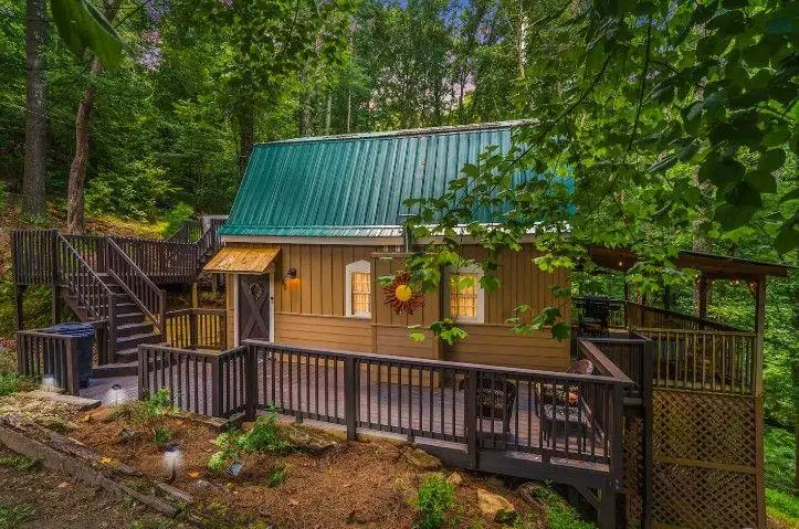 49 Balsa Court, Ellijay, GA 30540 - #1