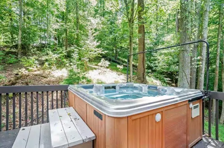 49 Balsa Court, Ellijay, GA 30540 - #3