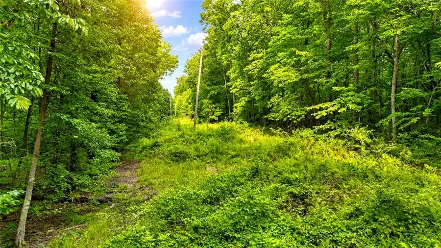 00 Highway 2 Parcel 1120913000, Cohutta, GA 30710 - #2