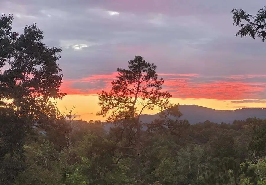 1046 Crossroads Church Road, Ellijay, GA 30540 - #3