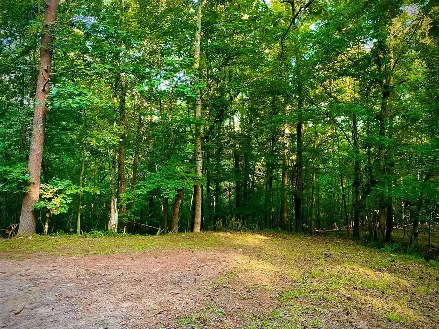 Lot 5 Fowler Creek Drive, Cleveland, GA 30528 - #2