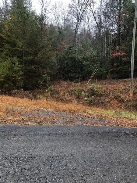 0 Flagpole Road, Ellijay, GA 30540