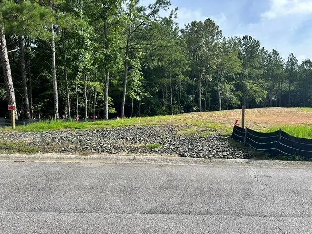 389 Timothy Drive, Dallas, GA 30132 - #3