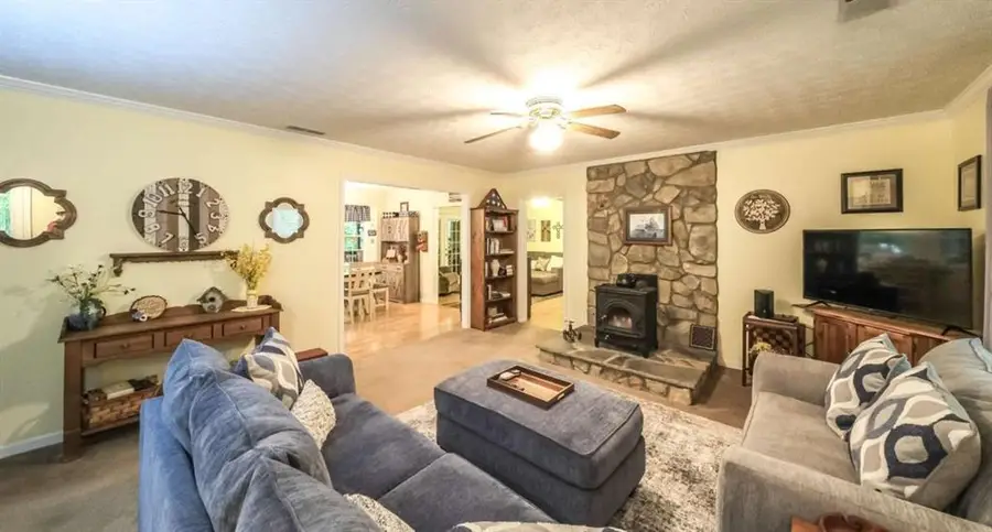 712 Honeysuckle Lane, Temple, GA 30179 - #3