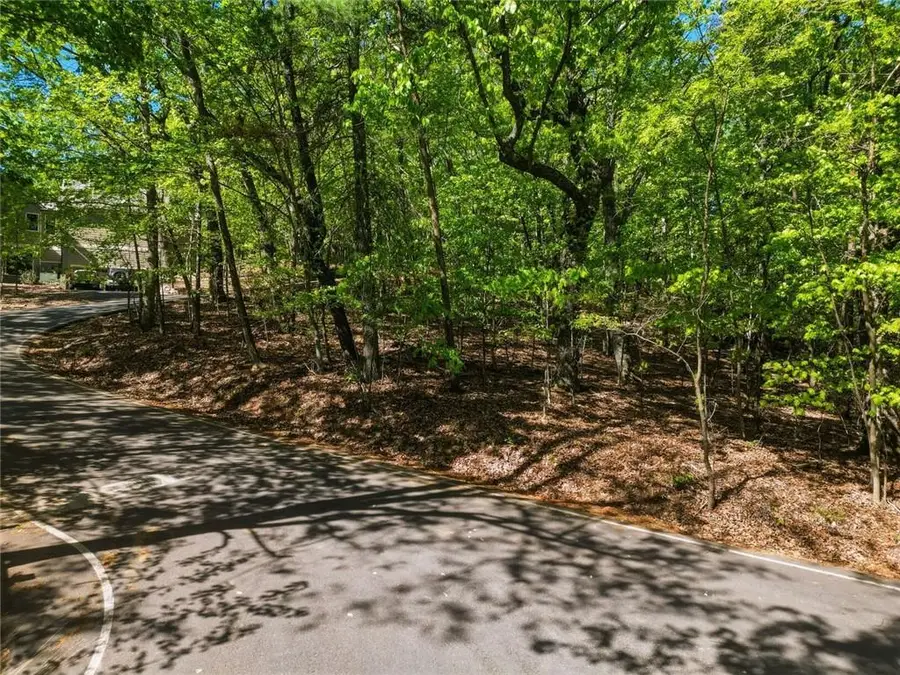 1095 Mcelroy Mountain Drive, Big Canoe, GA 30143 - #3