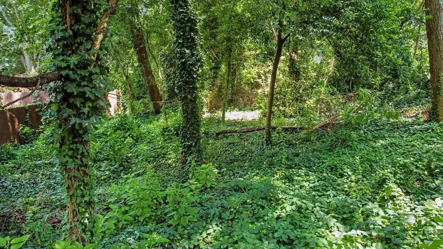 2242 Ridgedale Road Ne, Atlanta, GA 30317 - #3
