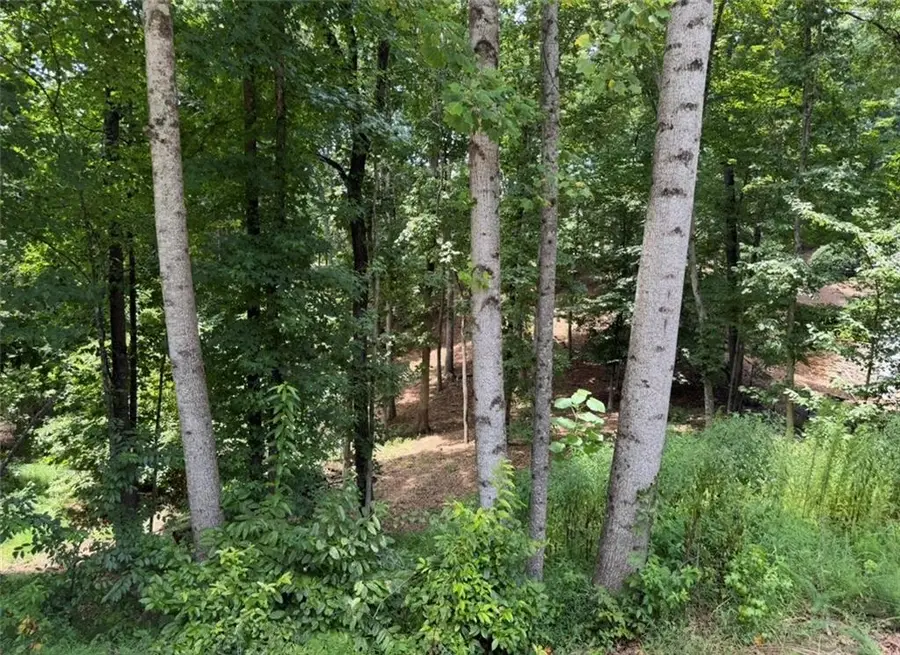 3043 Chattahoochee Trace, Gainesville, GA 30506 - #3